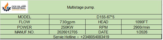 Horizontal Multistage Pump